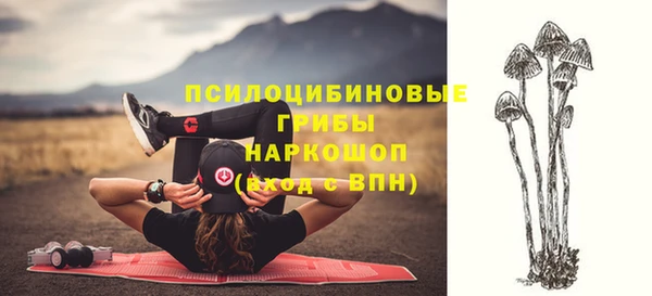 соль ск Бердск