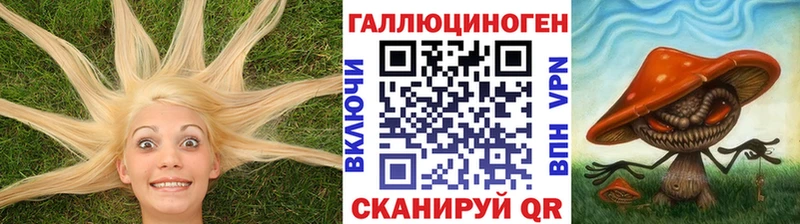 Псилоцибиновые грибы GOLDEN TEACHER  Кондопога 