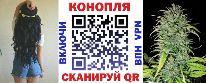 как найти наркотики  Кондопога  Марихуана Bruce Banner 